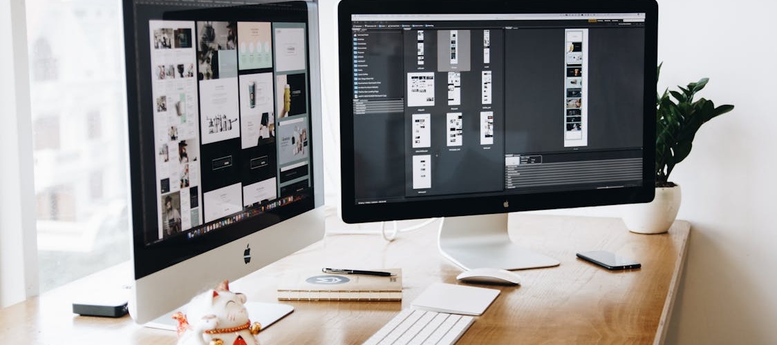 Website design and build